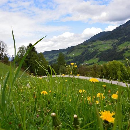 Niederstallnhof Sankt Johann im Pongau Exterior foto