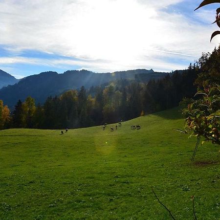 Niederstallnhof Sankt Johann im Pongau Exterior foto