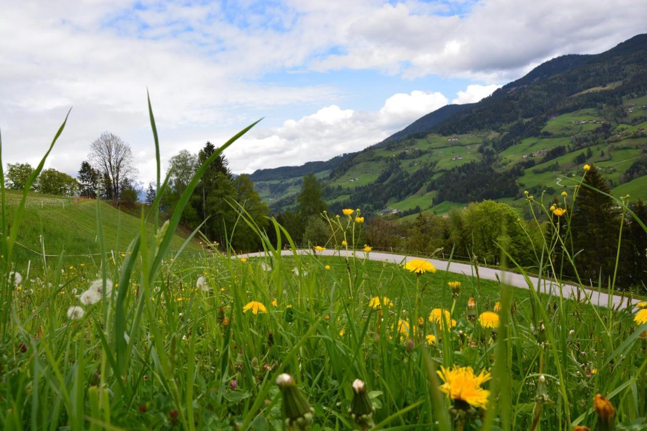 Niederstallnhof Sankt Johann im Pongau Exterior foto